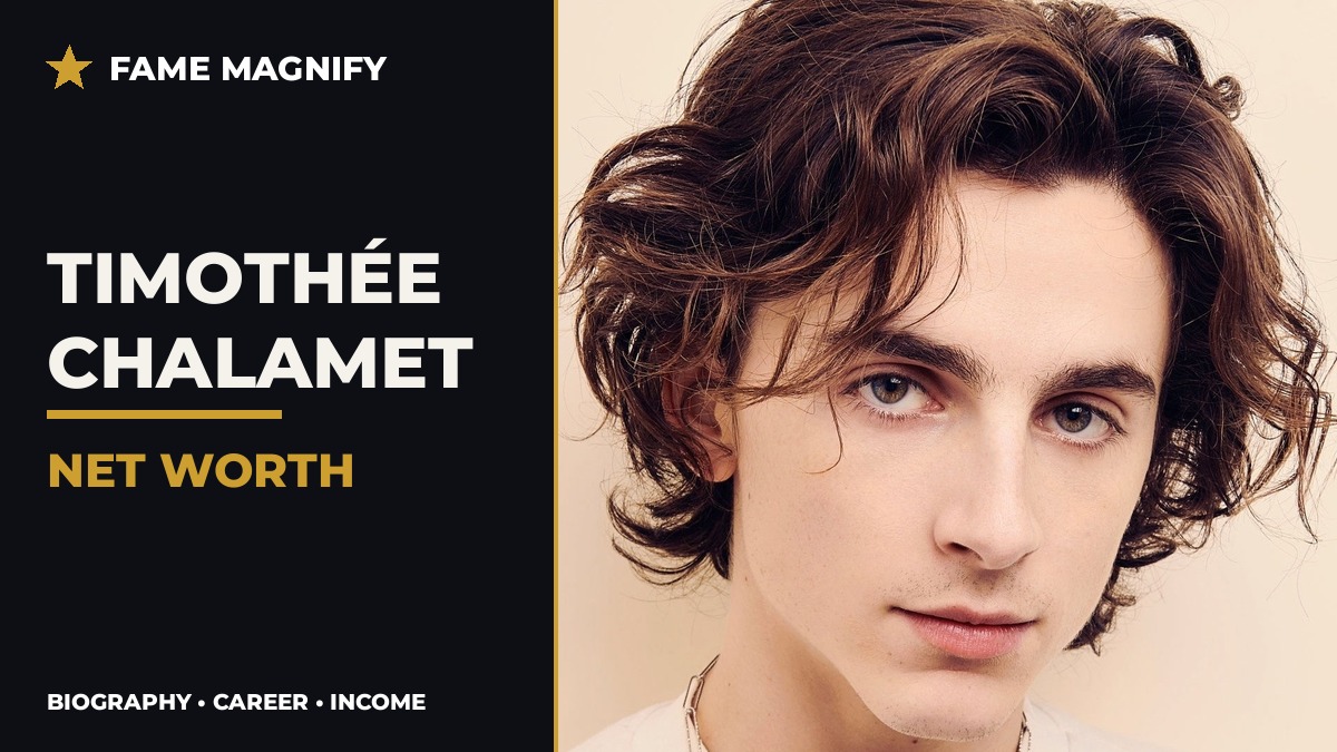 timothee chalamet net worth